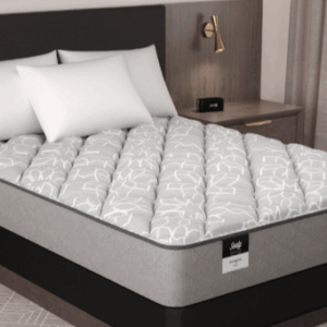 Sealy Essentials - Evington Firm King Mattress