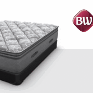 Sealy, Best Western Plus Bellinger PT mattress - 527001???